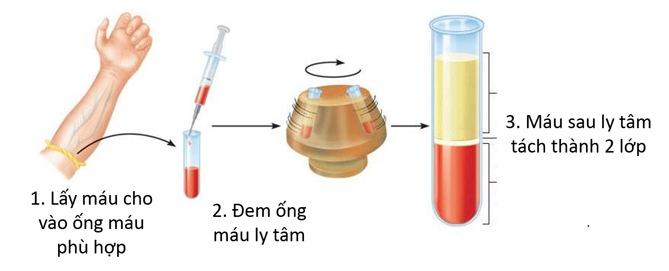 Nguyên tắc sử dụng các loại ống thu nhập máu